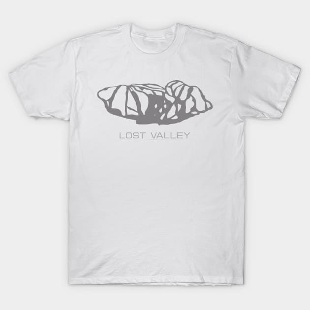 Lost Valley Resort 3D T-Shirt by Mapsynergy